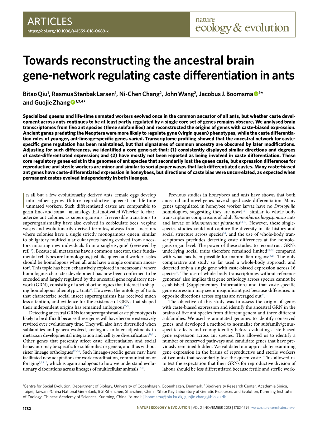 Towards Reconstructing the Ancestral Brain Gene-Network Regulating Caste Differentiation in Ants