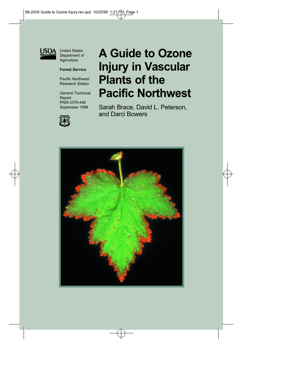 Guide to Ozone Injury in Vascular Plants of the Pacific Northwest Sarah Brace, David L