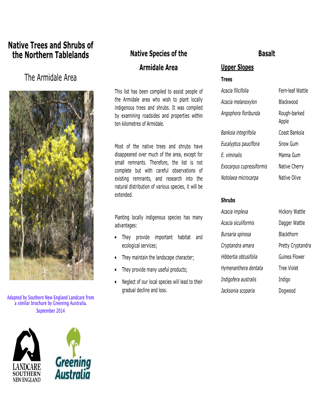 Native Trees and Shrubs of the Northern Tablelands