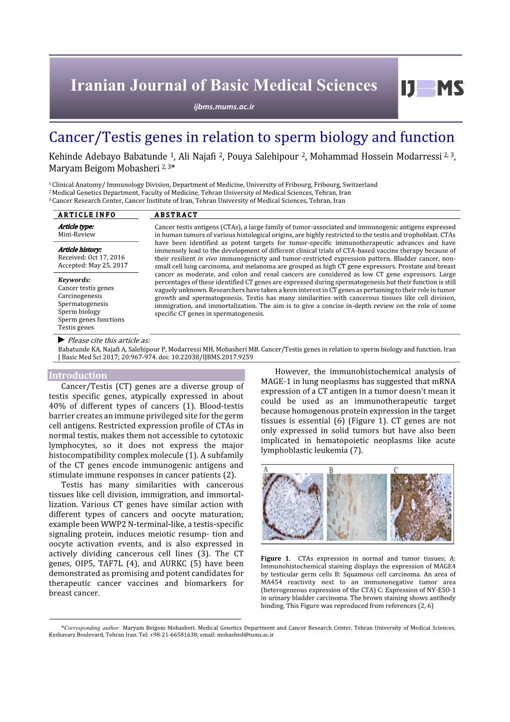 Cancer/Testis Genes in Relation to Sperm Biology and Function