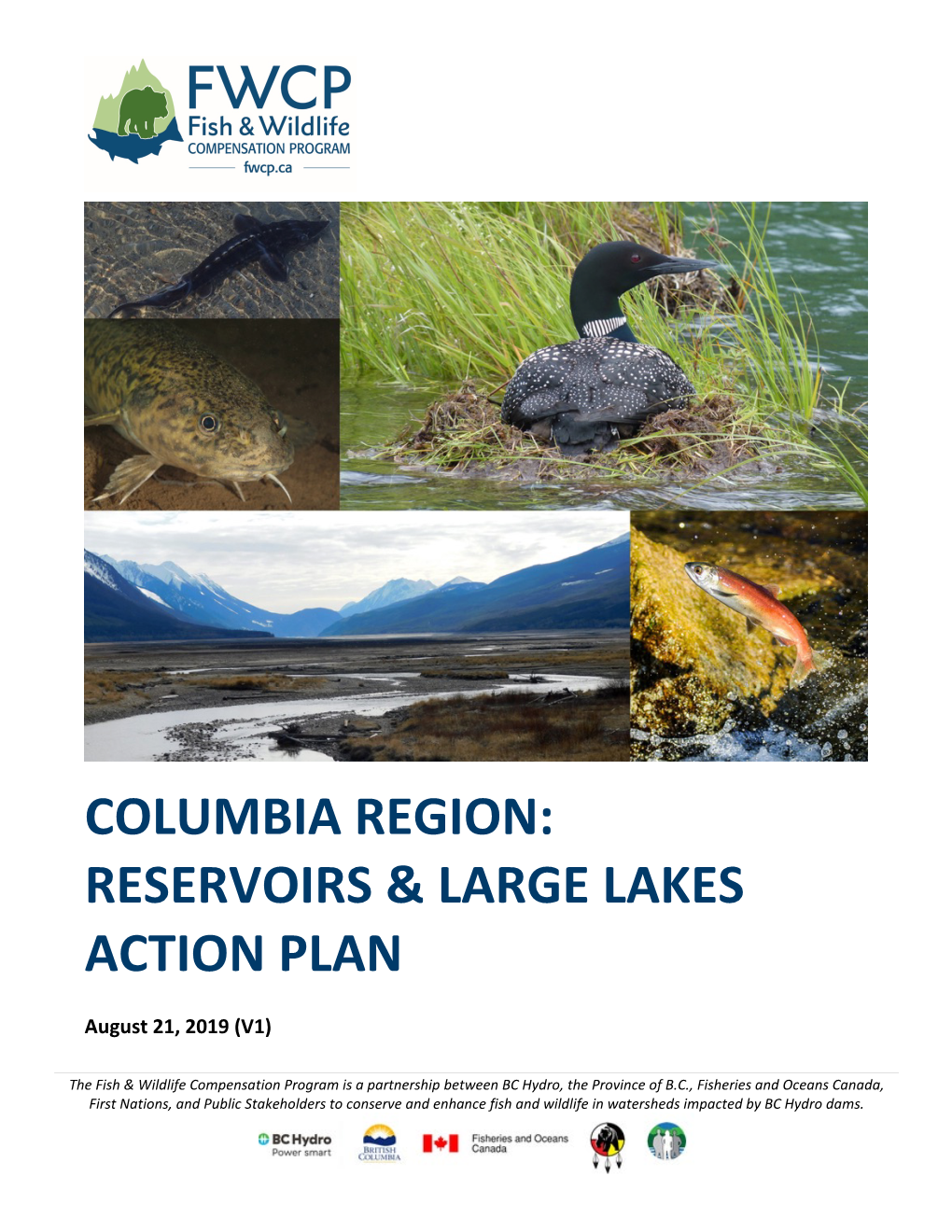 Reservoirs & Large Lakes Action Plan