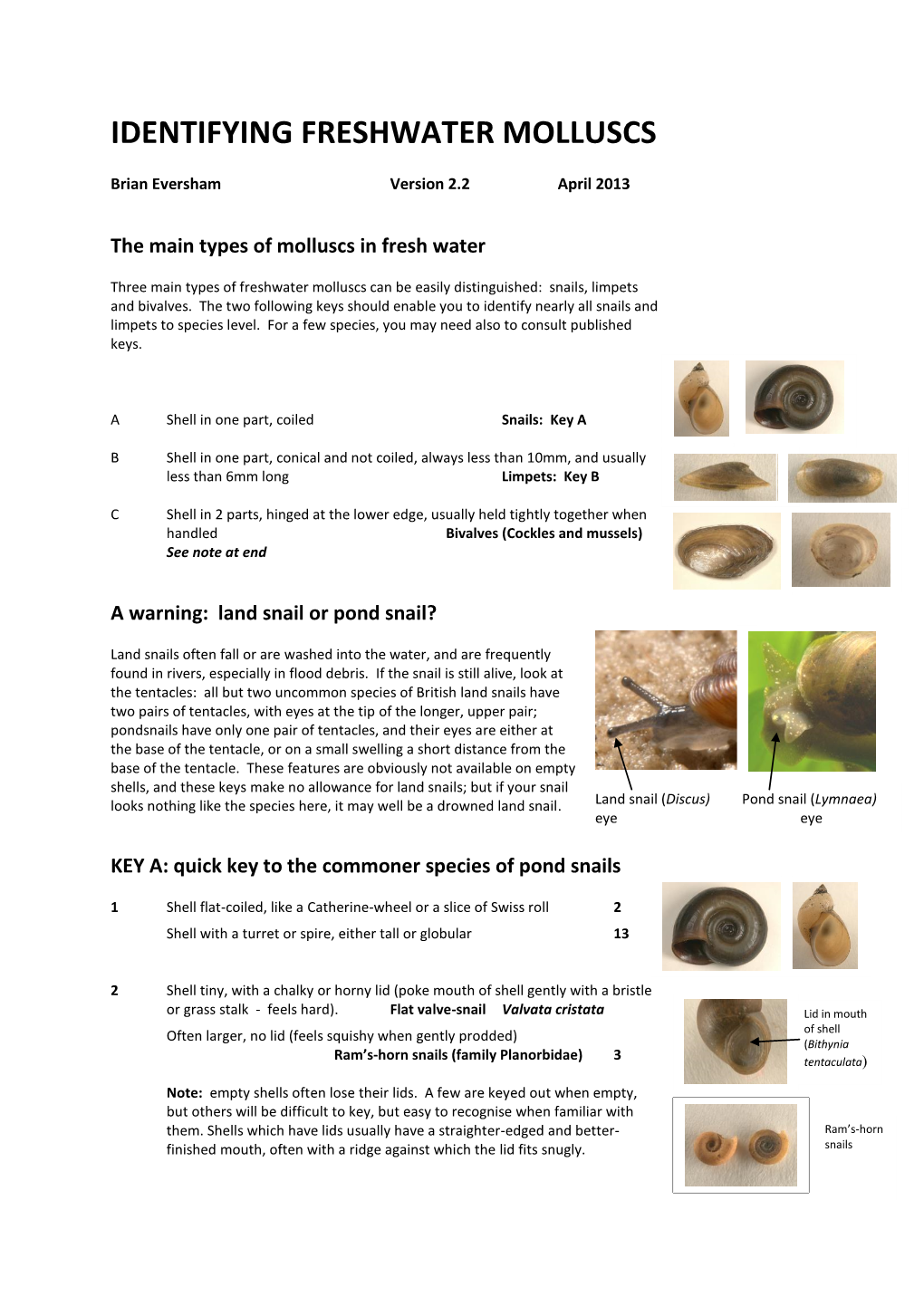 Identifying Freshwater Molluscs