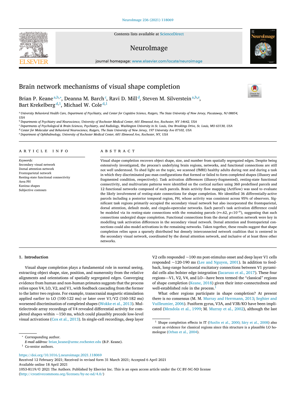 Brain Network Mechanisms of Visual Shape Completion