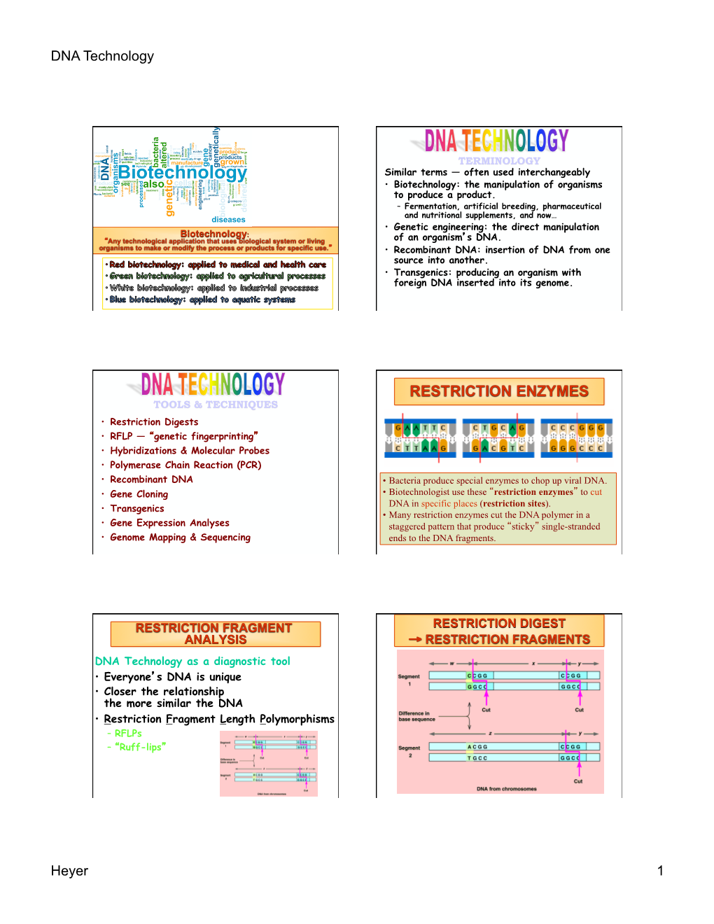 Restriction Enzymes