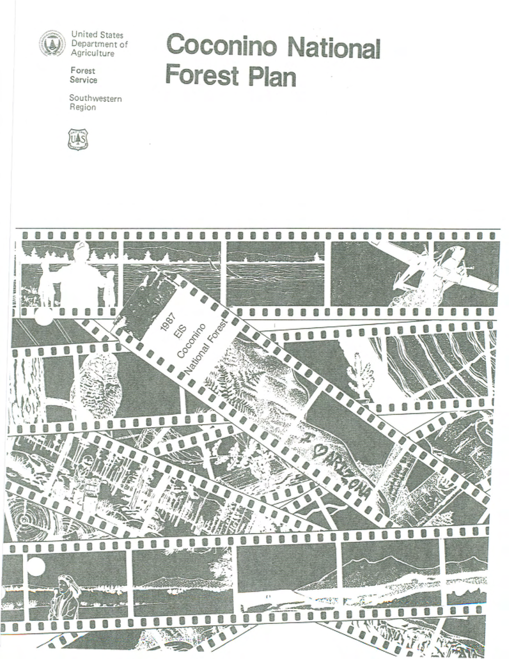 Coconino National Forest Land and Resource Management Plan Document the Analysis and Decisions Resulting from the Planning Process