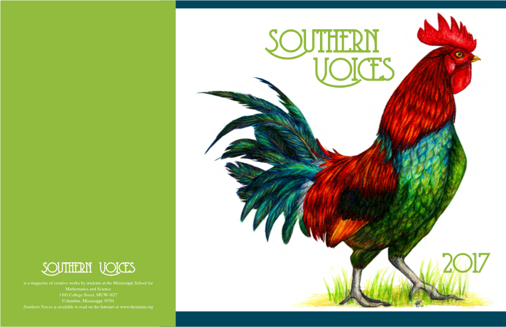 Southern Voices