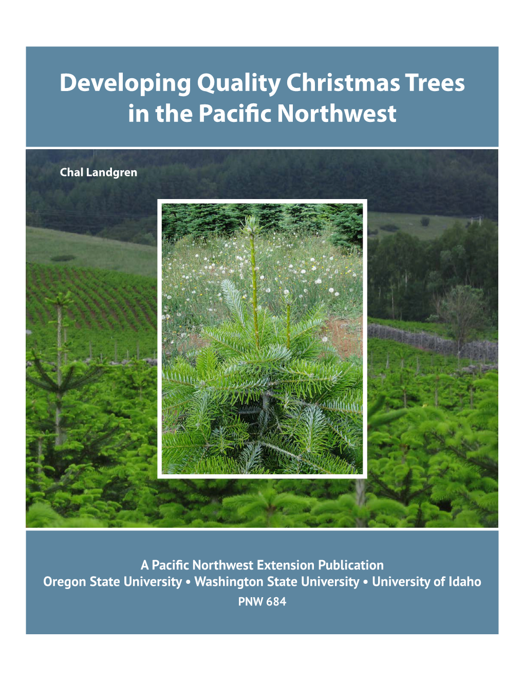 Developing Quality Christmas Trees in the Pacific Northwest