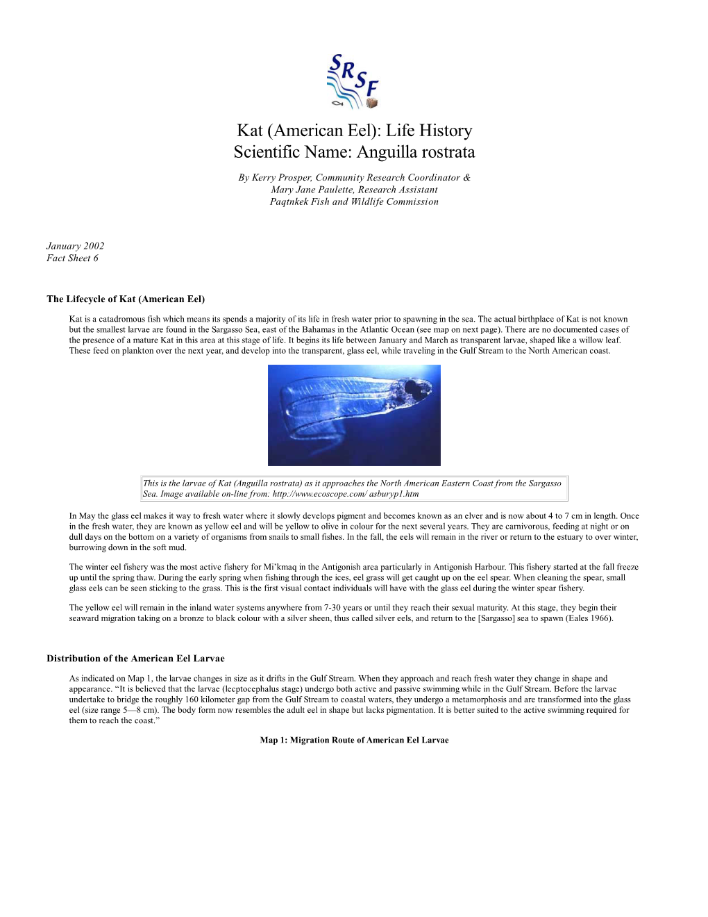 Fact Sheet 6: Kat (American Eel)