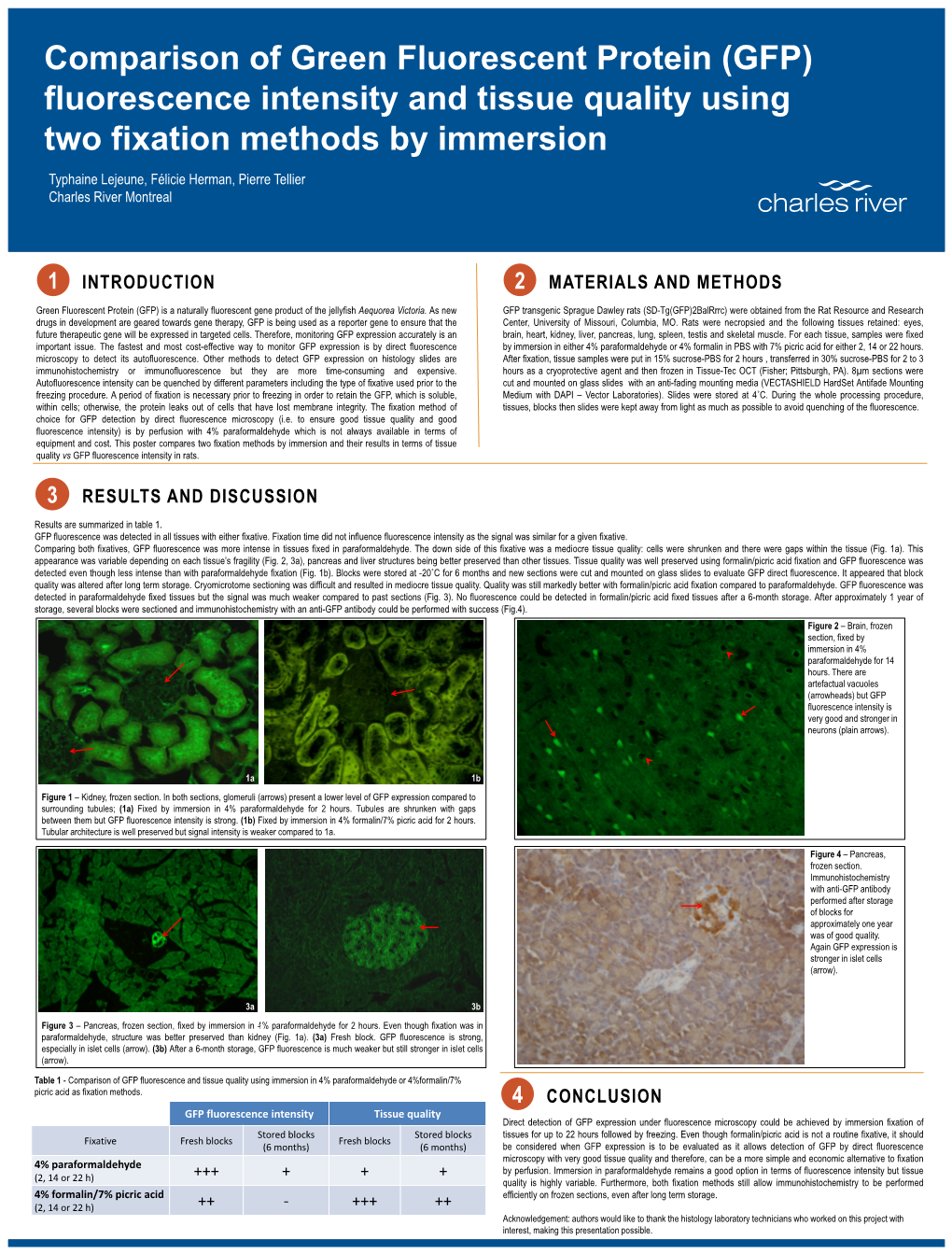 (GFP) Fluorescence Intensity and Tissue Quality Using Two Fixation Methods by Immersion Typhaine Lejeune, Félicie Herman, Pierre Tellier Charles River Montreal