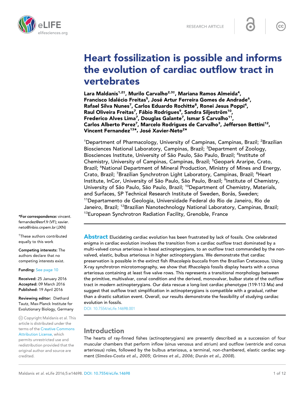 Heart Fossilization Is Possible and Informs the Evolution of Cardiac
