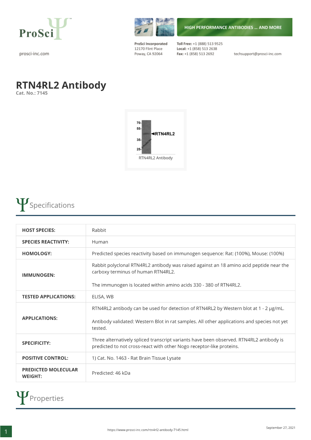 RTN4RL2 Antibody Cat