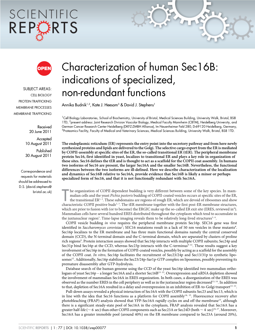 Characterization of Human Sec16b: Indications of Specialized, SUBJECT AREAS: CELL BIOLOGY Non-Redundant Functions PROTEIN TRAFFICKING Annika Budnik1,2, Kate J