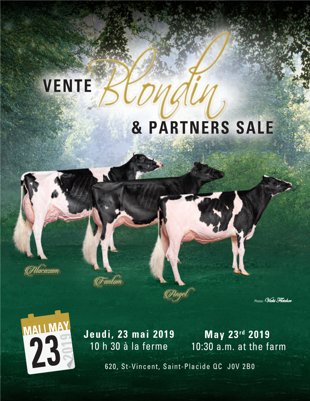 Vente & Partners Sale