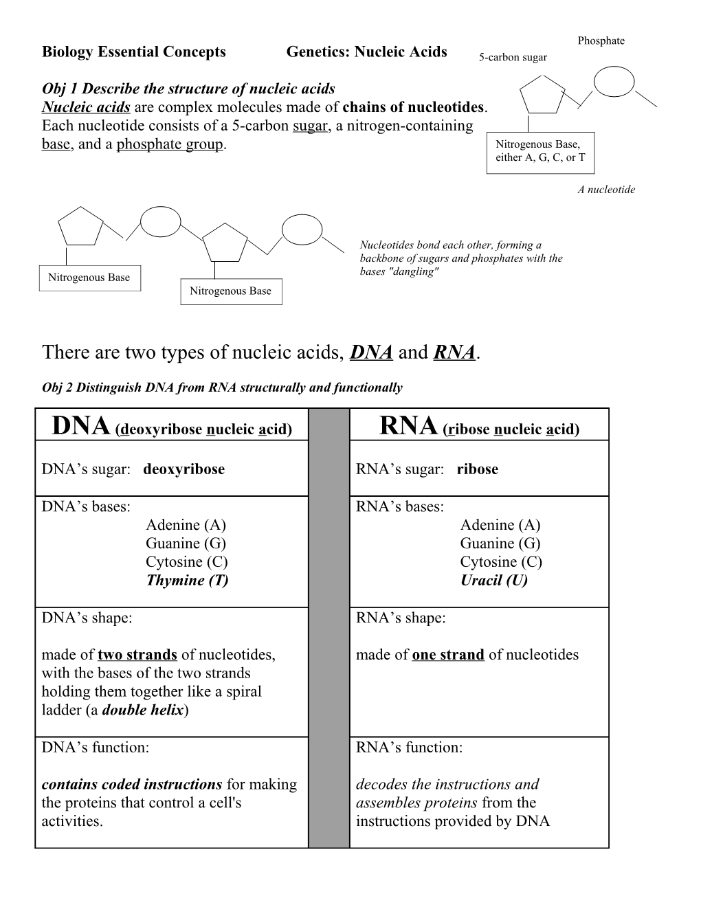 Biology Essential Concepts Genetics: Nucleic Acids