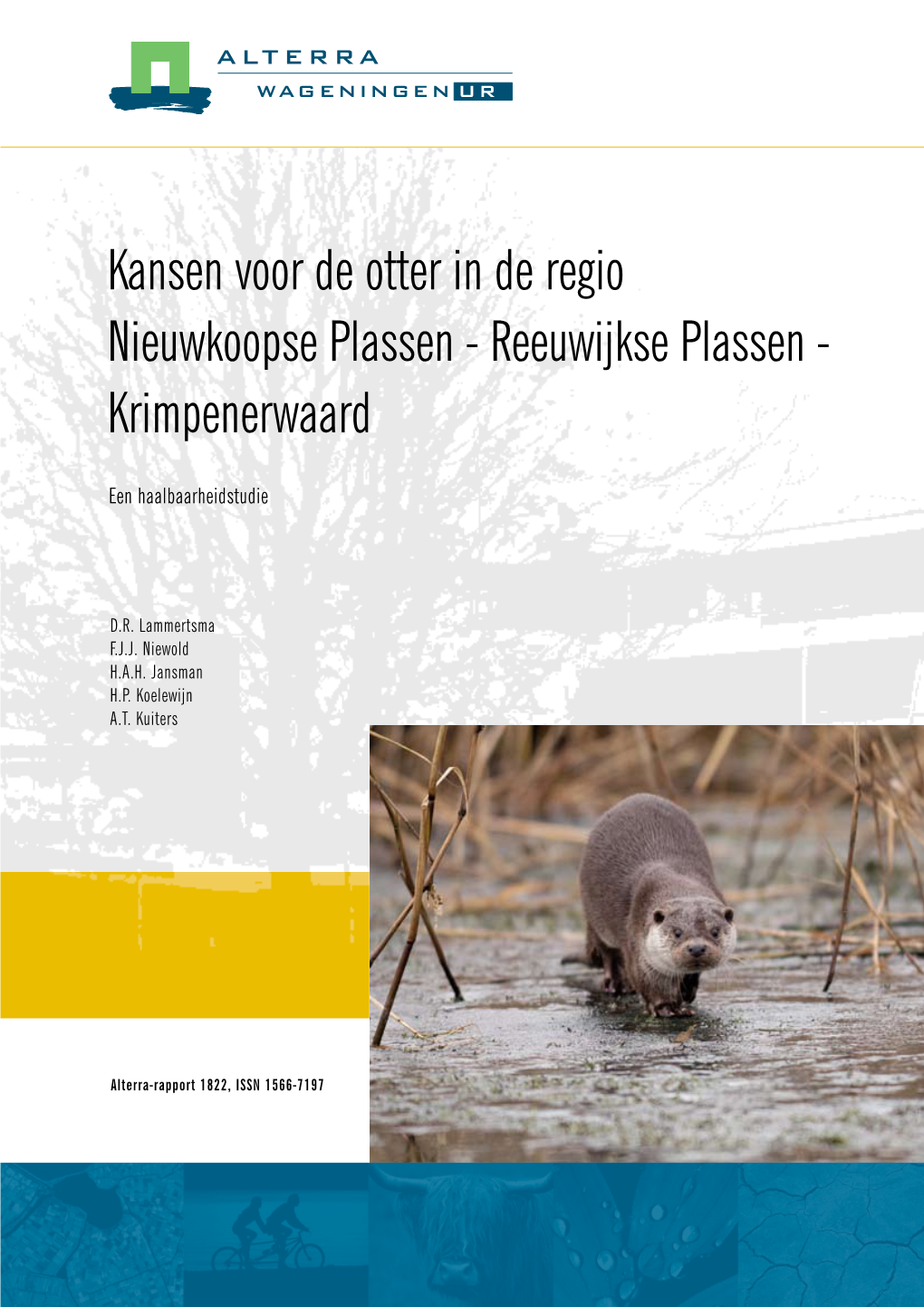 Reeuwijkse Plassen - Krimpenerwaard