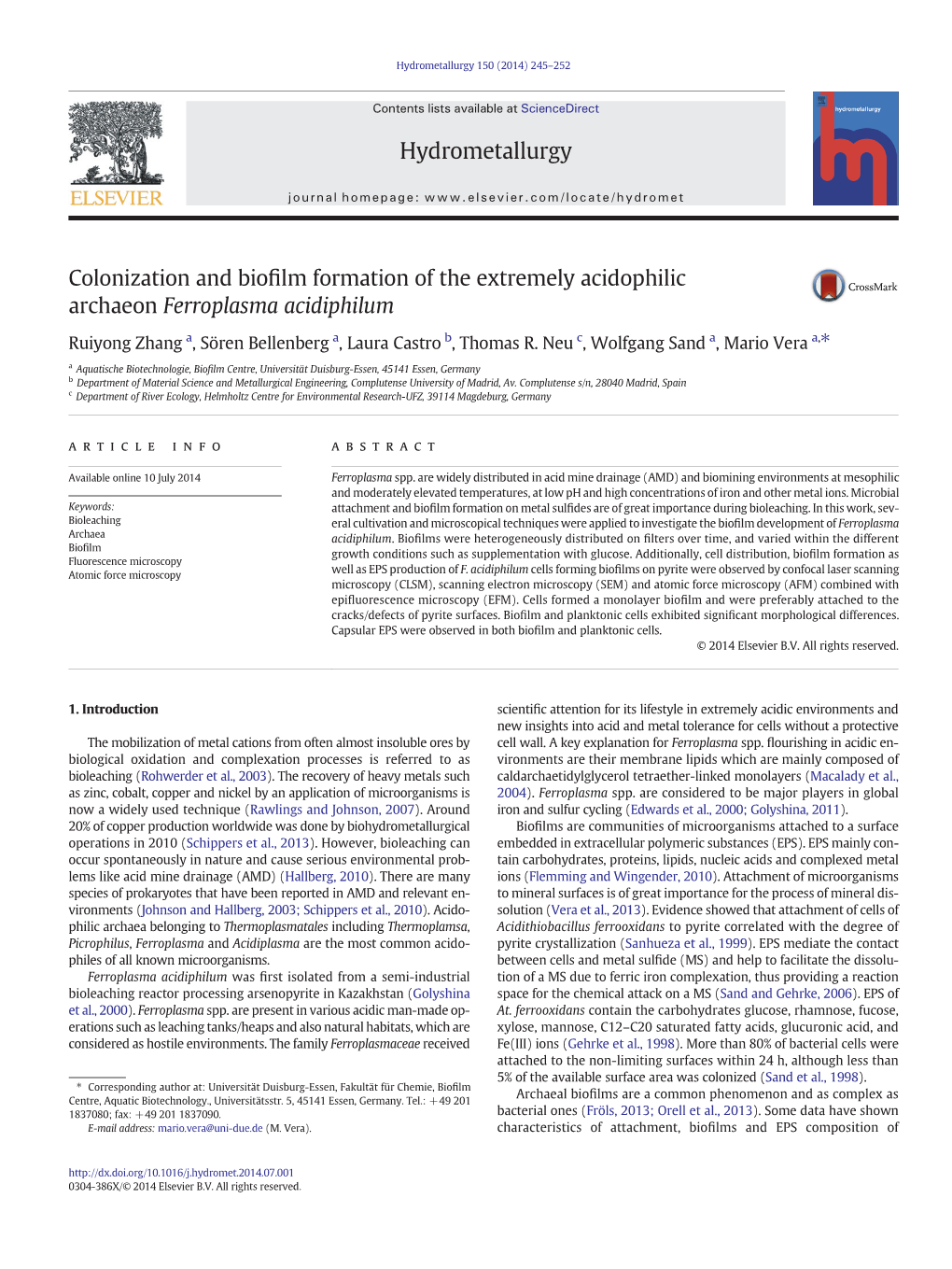 Colonization and Biofilm Formation of the Extremely Acidophilic Archaeon Ferroplasma Acidiphilum