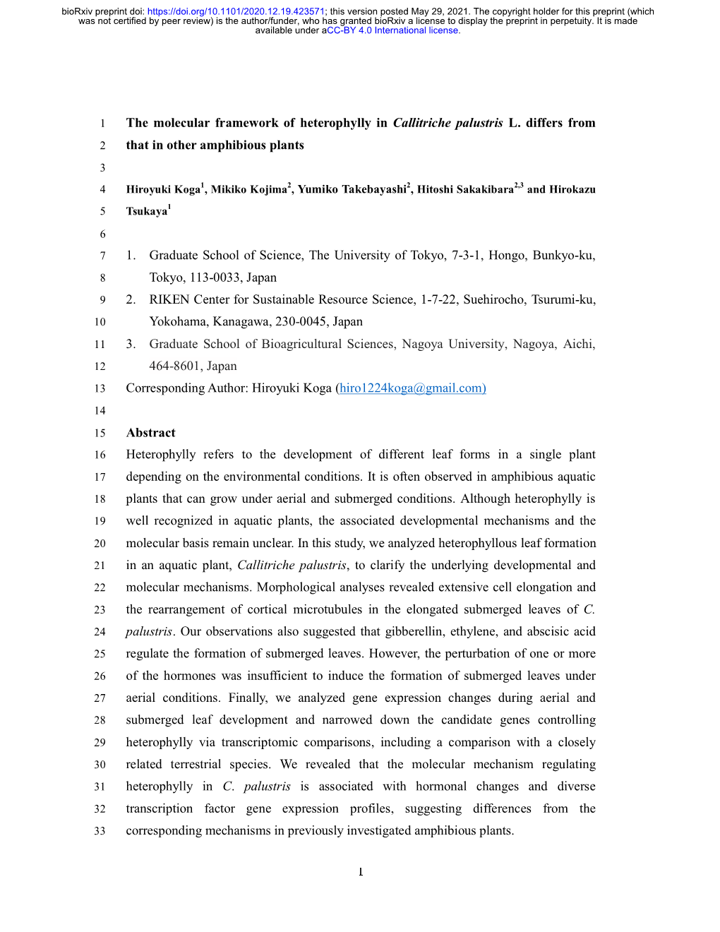 The Molecular Framework of Heterophylly in Callitriche Palustris L