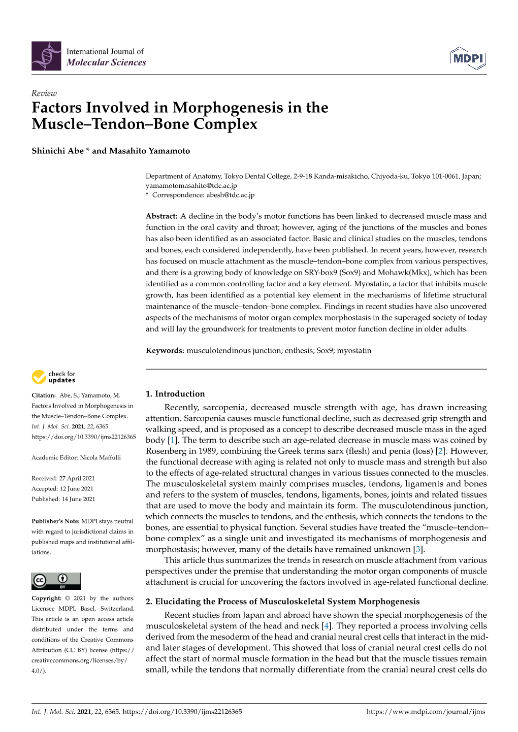 Factors Involved in Morphogenesis in the Muscle–Tendon–Bone Complex