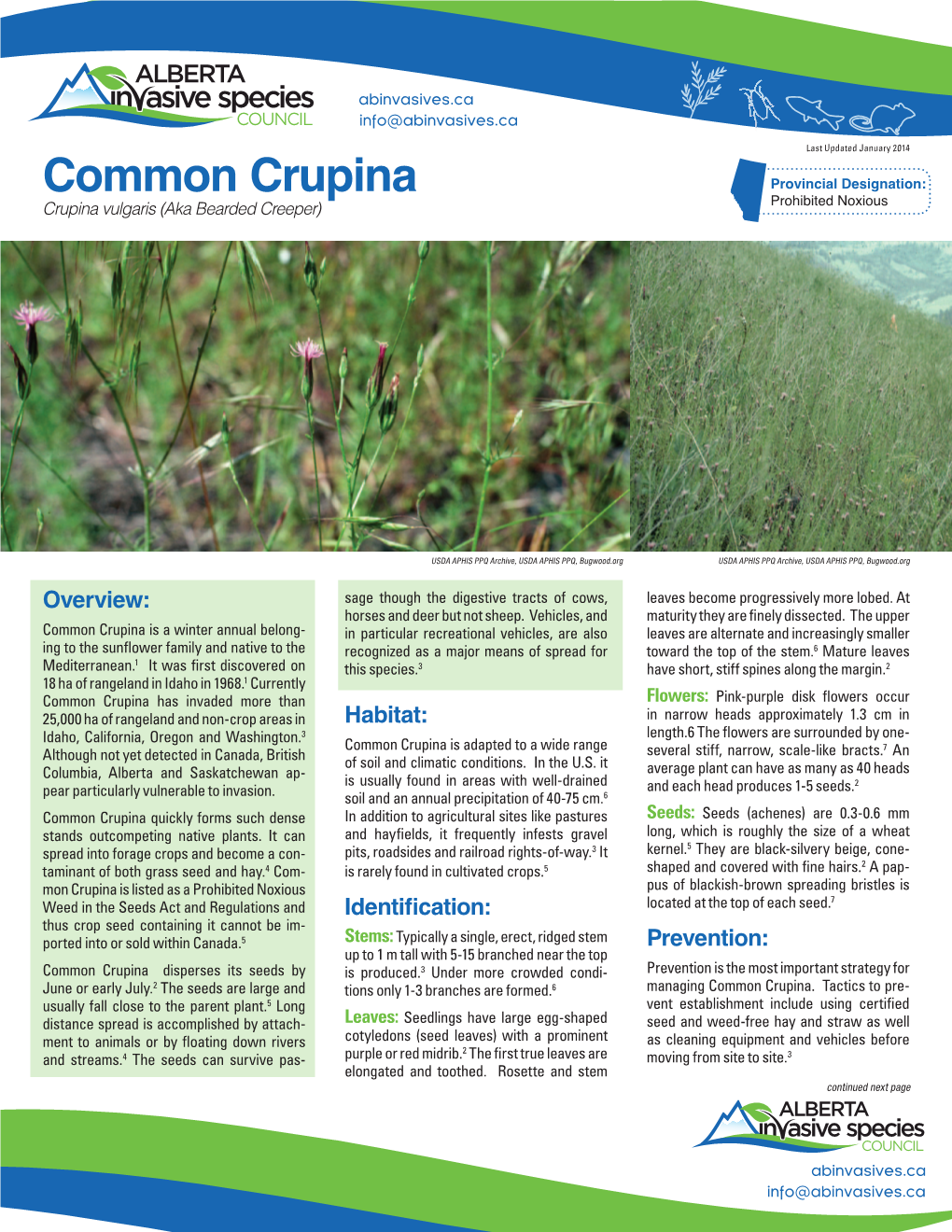 Common Crupina Fact Sheet