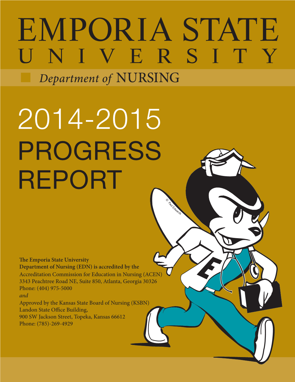 2015-16 Nursing Progress Report.Pdf