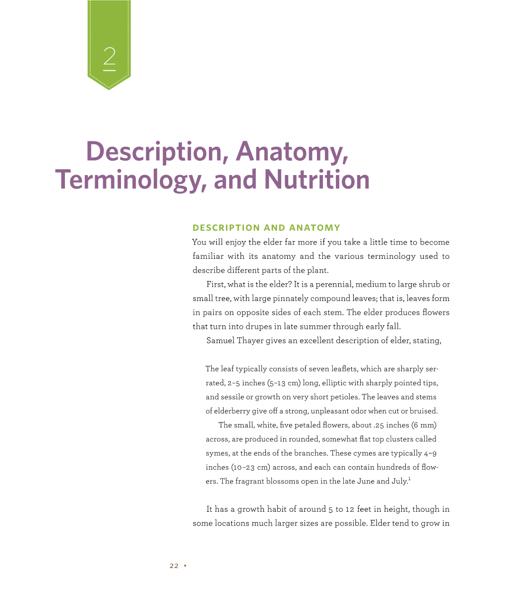 Description, Anatomy, Terminology, and Nutrition