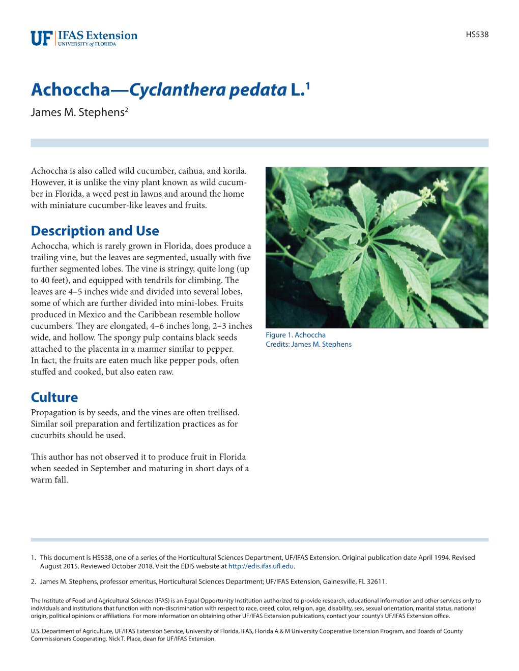 Achoccha—Cyclanthera Pedata L.1 James M