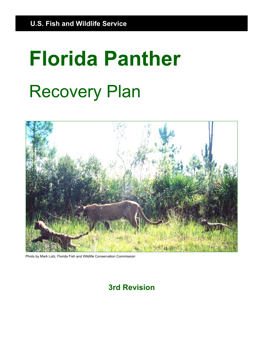 Florida Panther Recovery Plan