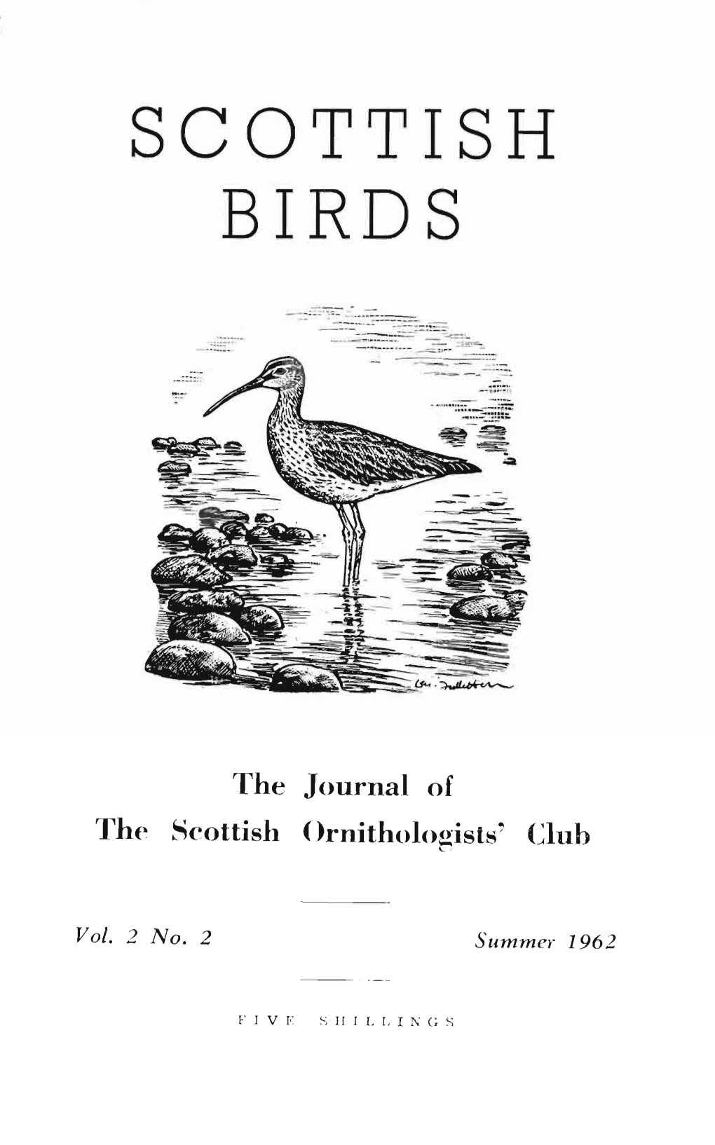 Scottish Birds