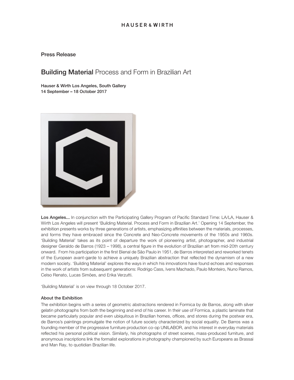 Building Material Process and Form in Brazilian Art