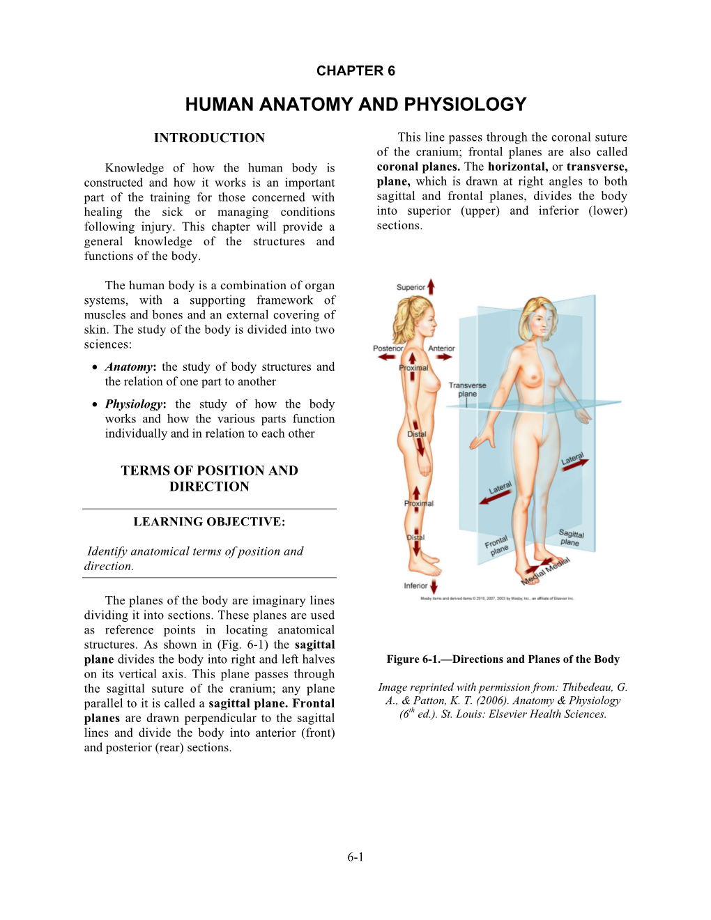 Human Anatomy and Physiology