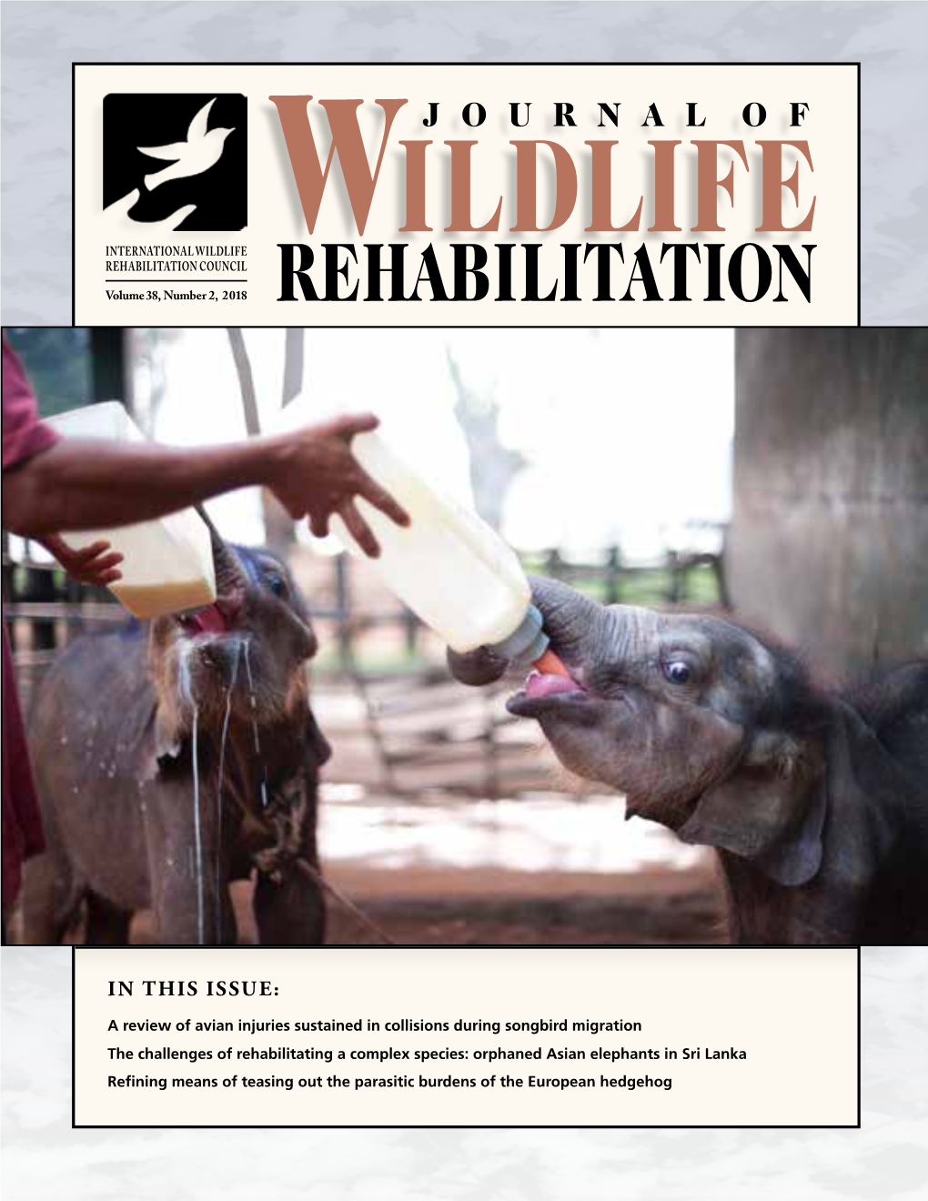 REHABILITATION COUNCIL Volume 38, Number 2, 2018 REHABILITATION