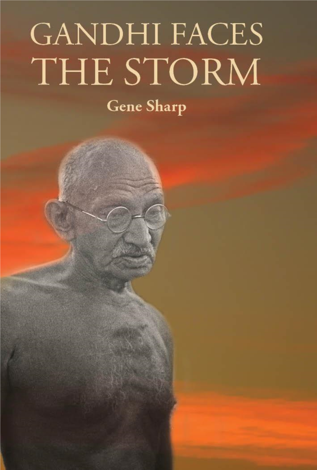 Gandhi Faces the Storm