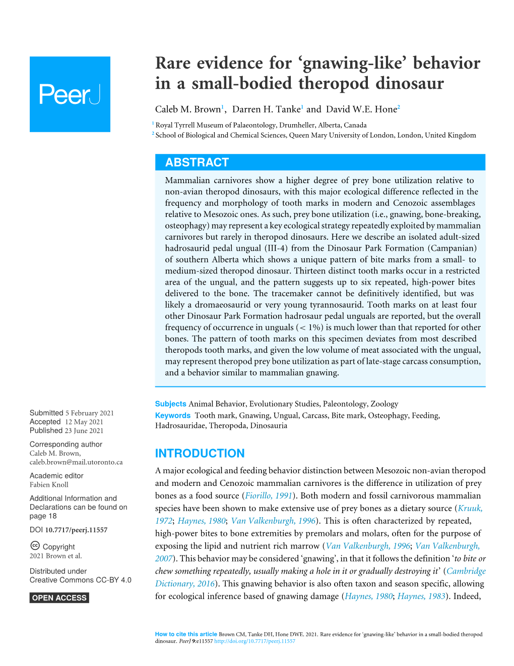 Behavior in a Small-Bodied Theropod Dinosaur