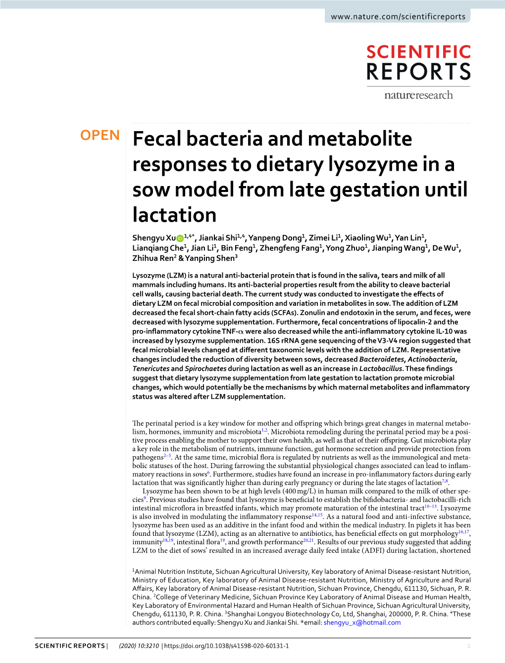 Fecal Bacteria and Metabolite Responses to Dietary Lysozyme in A
