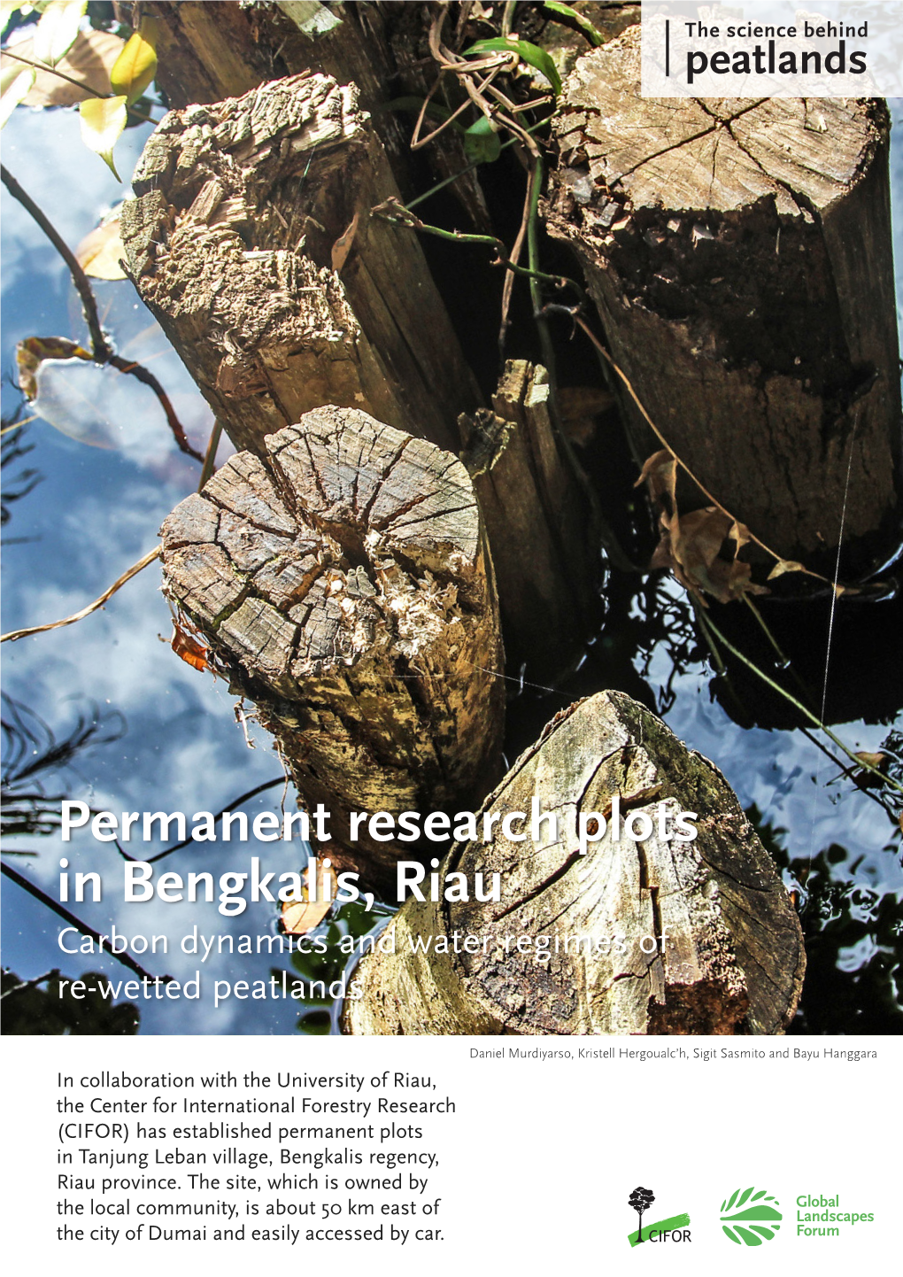 Permanent Research Plots in Bengkalis, Riau Carbon Dynamics and Water Regimes of Re-Wetted Peatlands