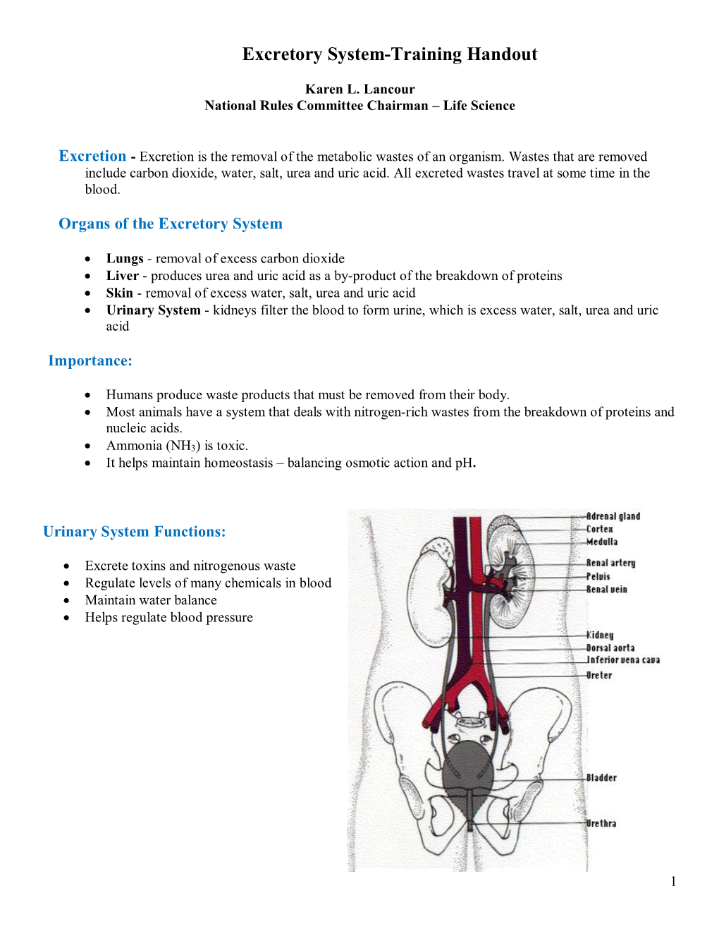 Excretory System-Training Handout