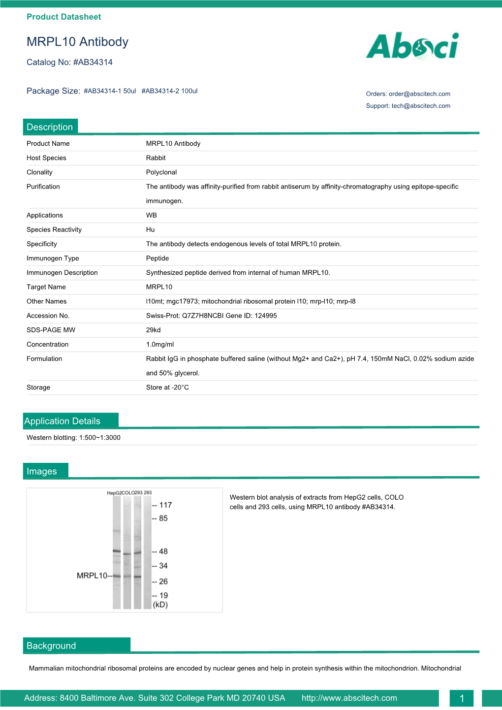 MRPL10 Antibody