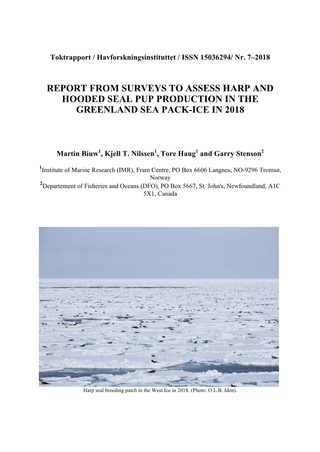 Aerial Surveys of Harp and Hooded Seal Pups in the Greenland Sea Pack Ice