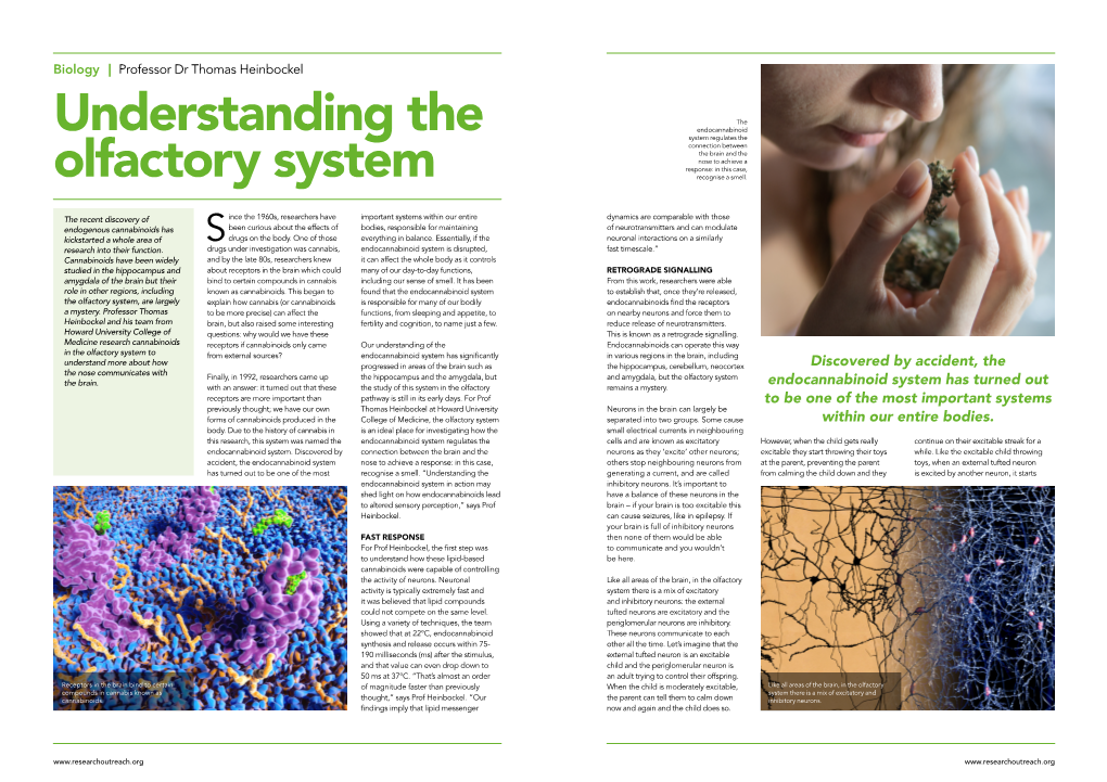 Understanding the Olfactory System