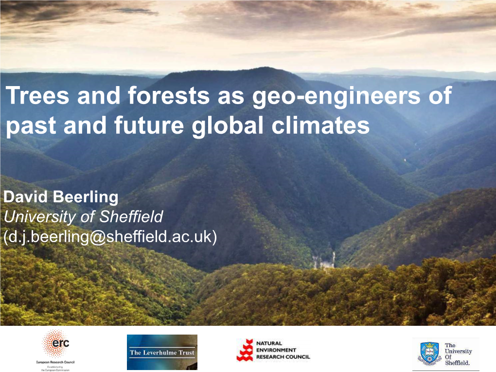 Trees and Forests As Geo-Engineers of Past and Future Global Climates