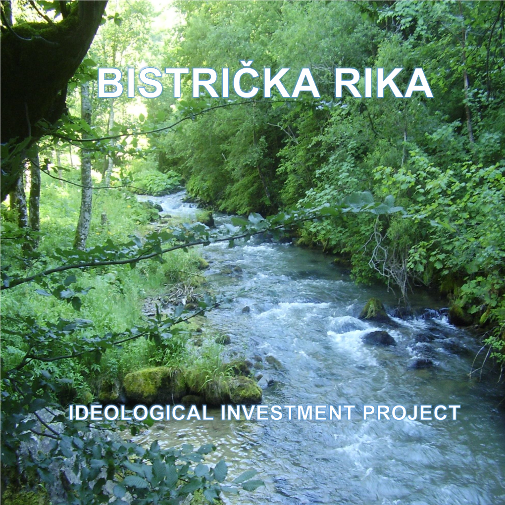 Ministry of Economy of the Central Bosnia Canton „Bistrička Rika“- Ideological Investment Project Page 1