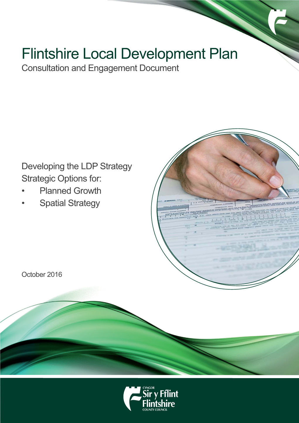 The Main 'Strategic Options' Consultation Document