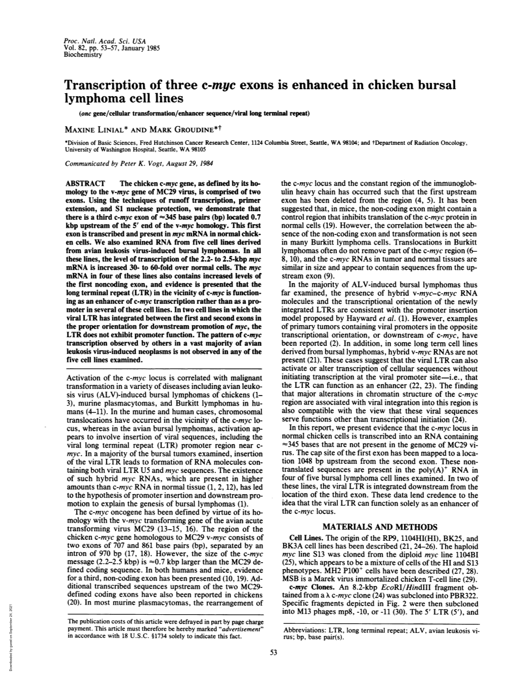 Transcription of Three C-Myc Exons Is Enhanced in Chicken Bursal