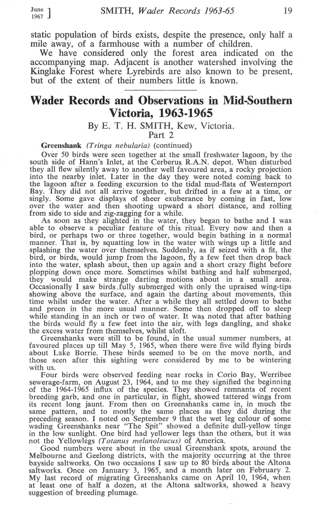 Wader Records and Observations in Mid-Southern Victoria, 1963-1965 by E