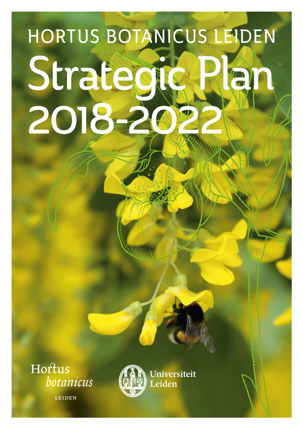 Strategic Plan 2018-2022