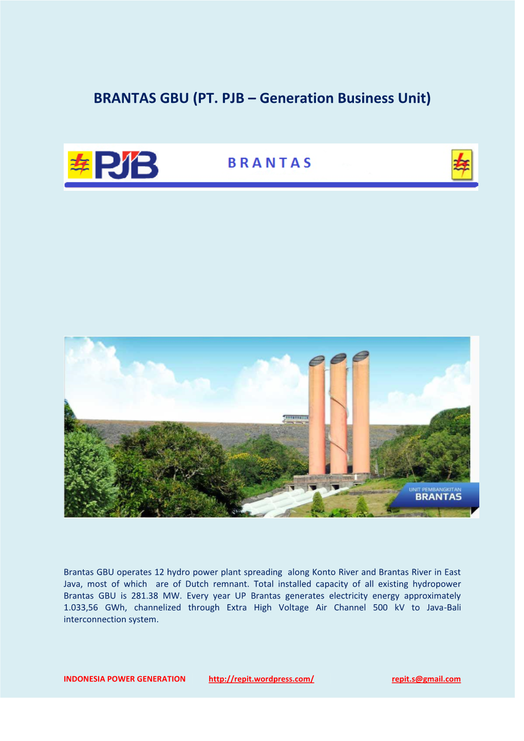 BRANTAS GBU (PT. PJB – Generation Business Unit)