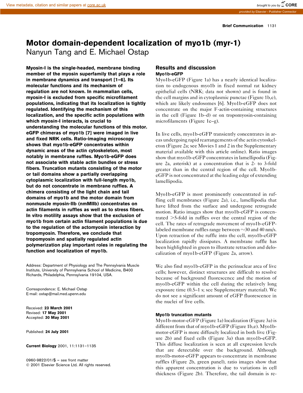 Motor Domain-Dependent Localization of Myo1b (Myr-1) Nanyun Tang and E