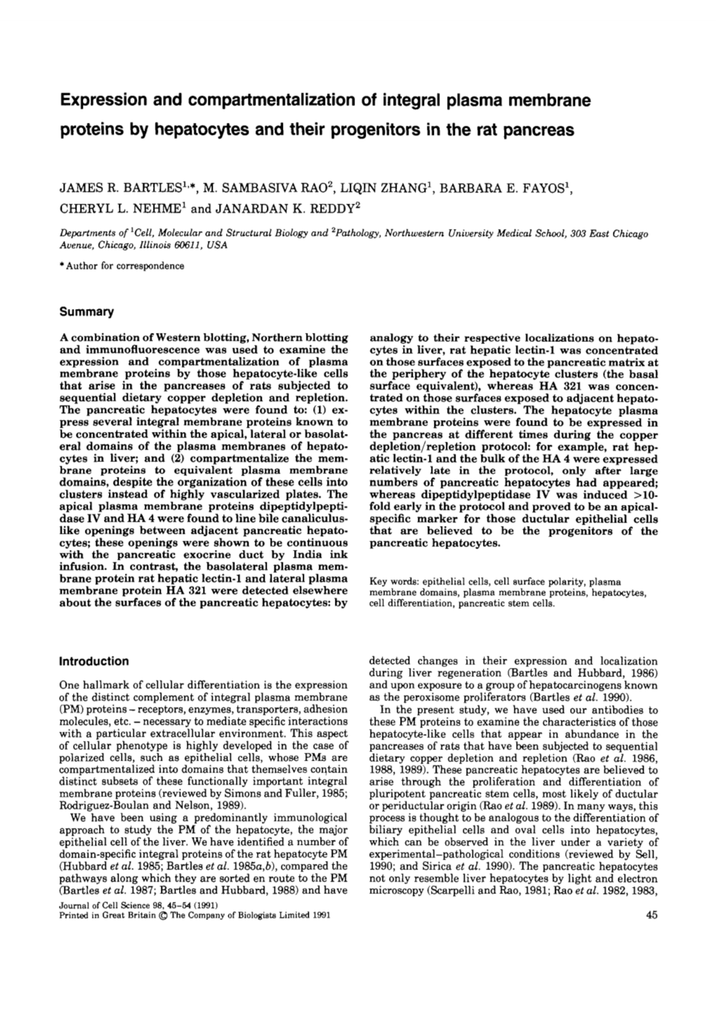 Expression and Compartmentalization of Integral Plasma Membrane Proteins by Hepatocytes and Their Progenitors in the Rat Pancreas