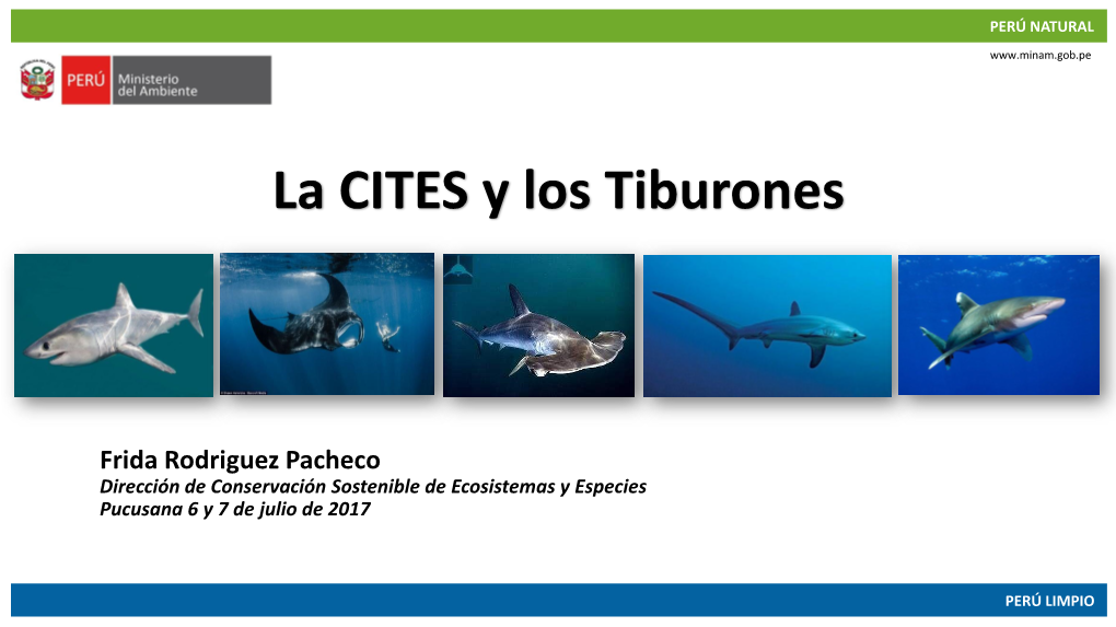 Frida-Paita-CITES-And-Sharks.Pdf