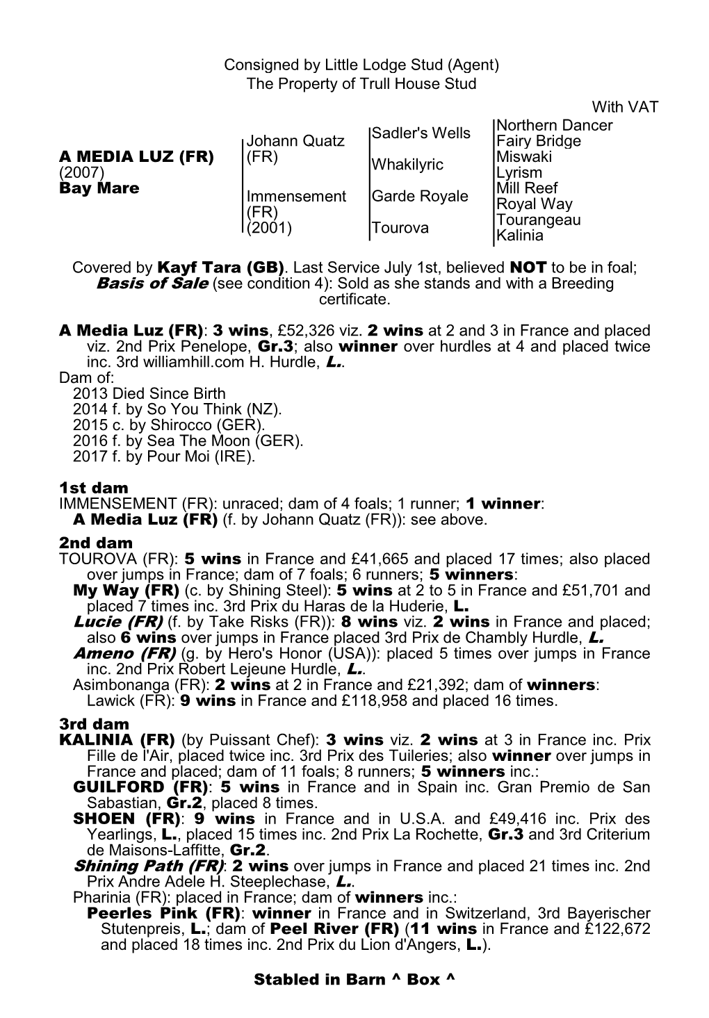 Consigned by Little Lodge Stud (Agent) the Property Of
